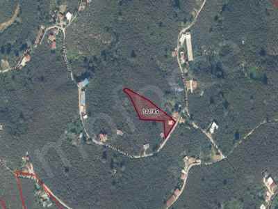  For Sale in  Turkey, Duzce, Akcakoca, Kirazli , 9150 m2