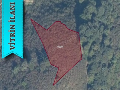 Akkaya Köyü Yanında Satılık Arsa Fındıklık Akçakoca