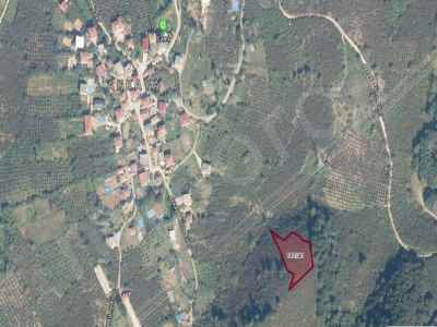 Land For Sale in  Turkey, Duzce, Akcakoca, Akkaya , 3205 m2