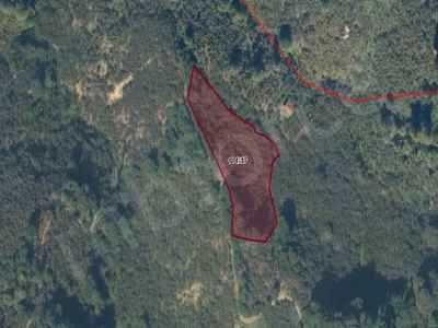  For Sale in  Turkey, Duzce, Akcakoca, Esmahanim , 5000 m2