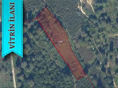 Beyören Köyü Deniz Gören Satılık Arsa Düzce Akçakoca