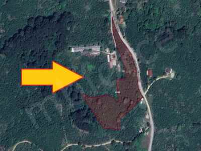  For Sale in  Turkey, Duzce, Akcakoca, Esmahanim , 14723 m2