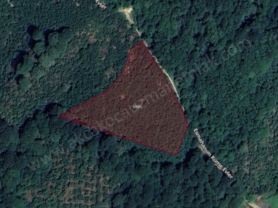 Kurukavak Köyü Yakını Yol Kenarı Satılık Fındıklık Akçakoca Esmahanım