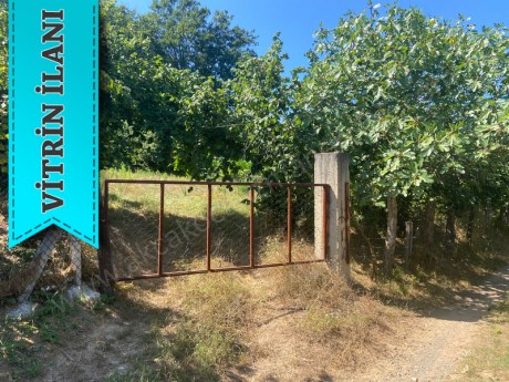 Akkaya Köyü İçi İmarlı Arsa