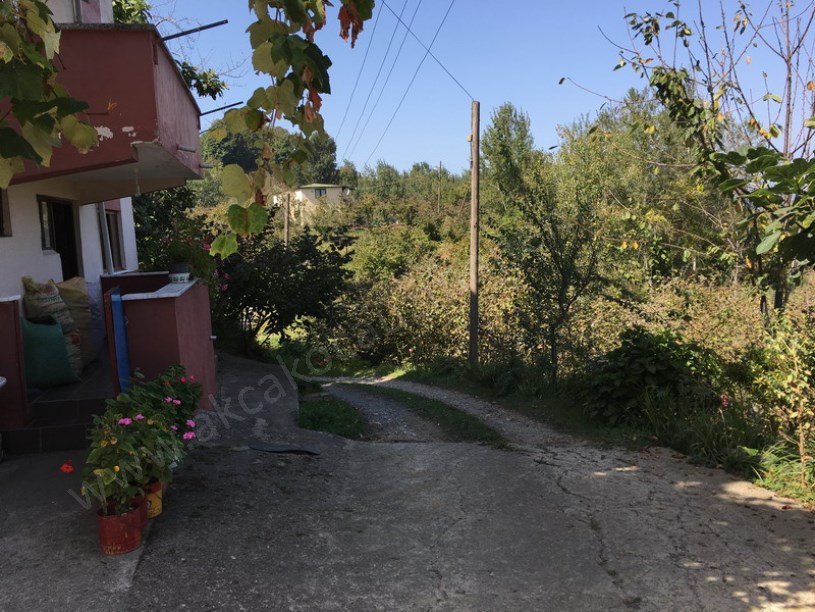 Döngelli Mevkii Denize 100m Fındıklık