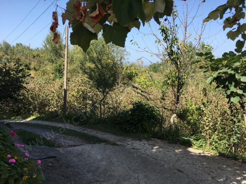Döngelli Mevkii Denize 100m Fındıklık
