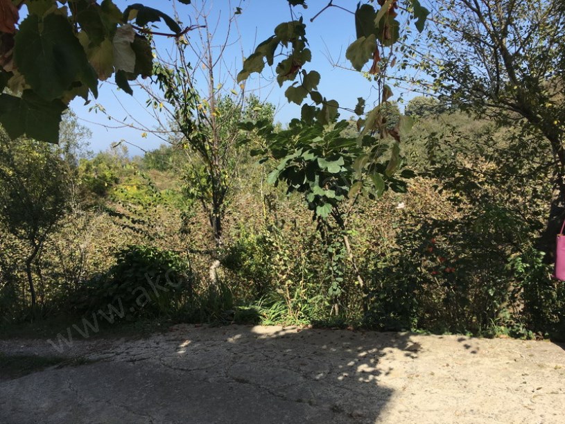 Döngelli Mevkii Denize 100m Fındıklık