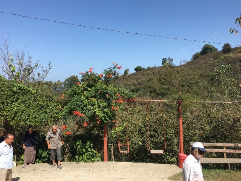 Döngelli Mevkii Denize 100m Fındıklık