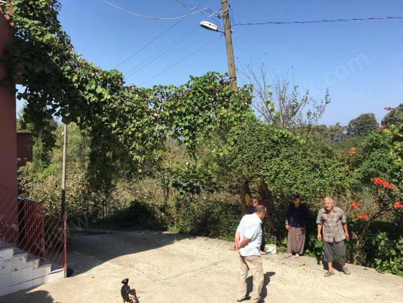 Döngelli Mevkii Denize 100m Fındıklık
