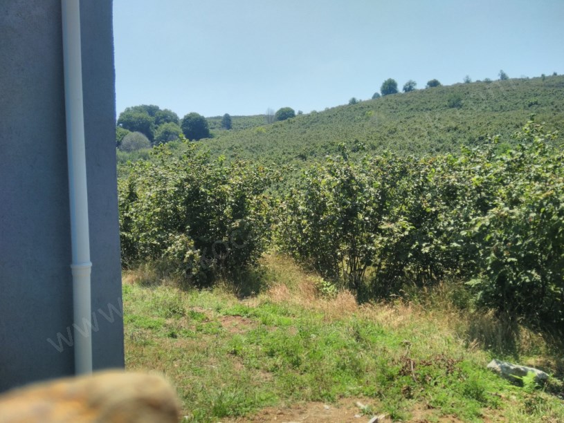 Akçakoca Kınık Köyü Satılık Müstakil Ev
