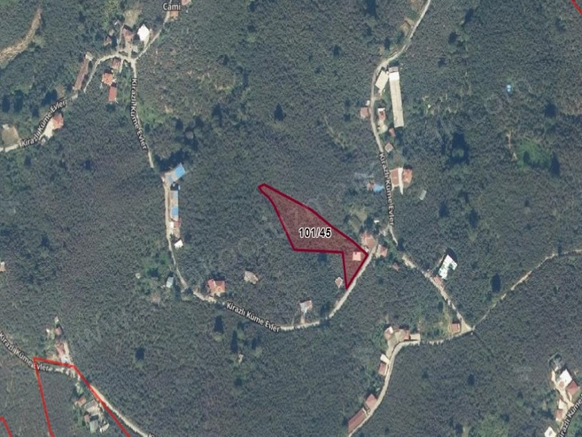 Kirazlı ve Balatlı da Toplam 9150 m2 İçinde Ev Olan Fındıklık