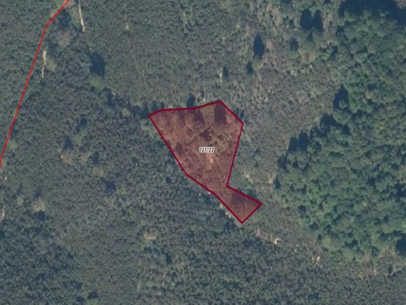 Kirazlı ve Balatlı da Toplam 9150 m2 İçinde Ev Olan Fındıklık