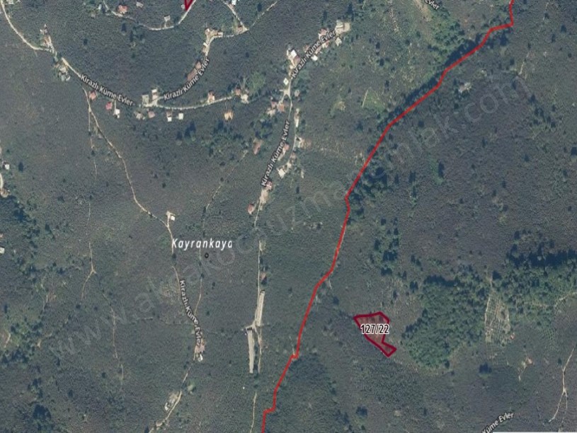 Kirazlı ve Balatlı da Toplam 9150 m2 İçinde Ev Olan Fındıklık