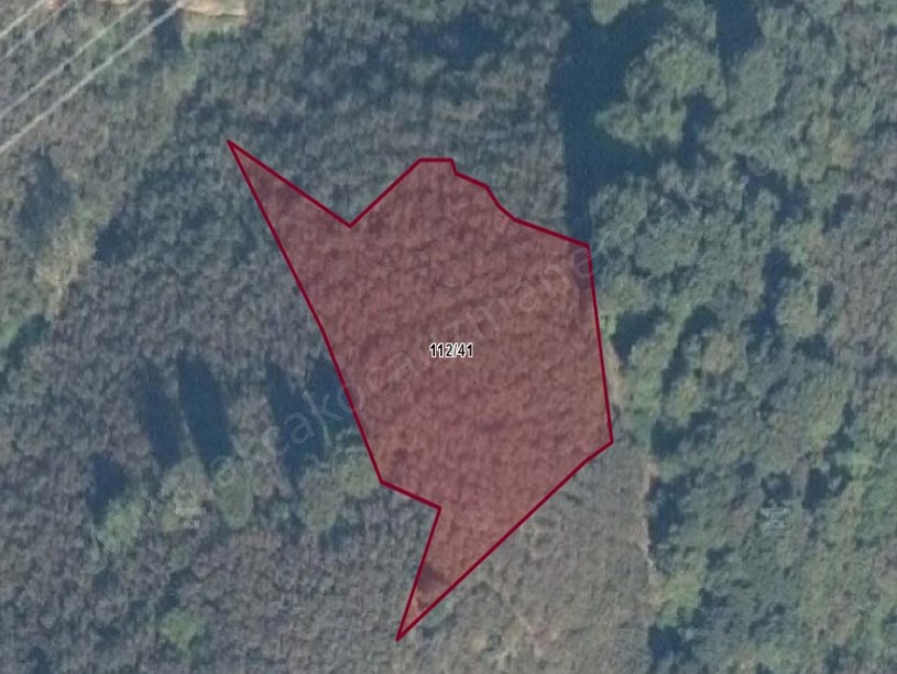 Akkaya Köyü Yanında Satılık Fındıklık