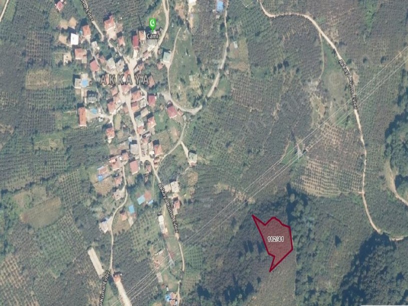 Akkaya Köyü Yanında Satılık Fındıklık