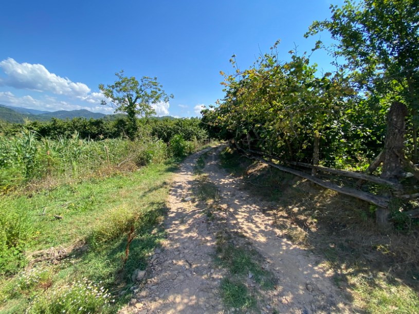 Akkaya Köyü İçi İmarlı Arsa