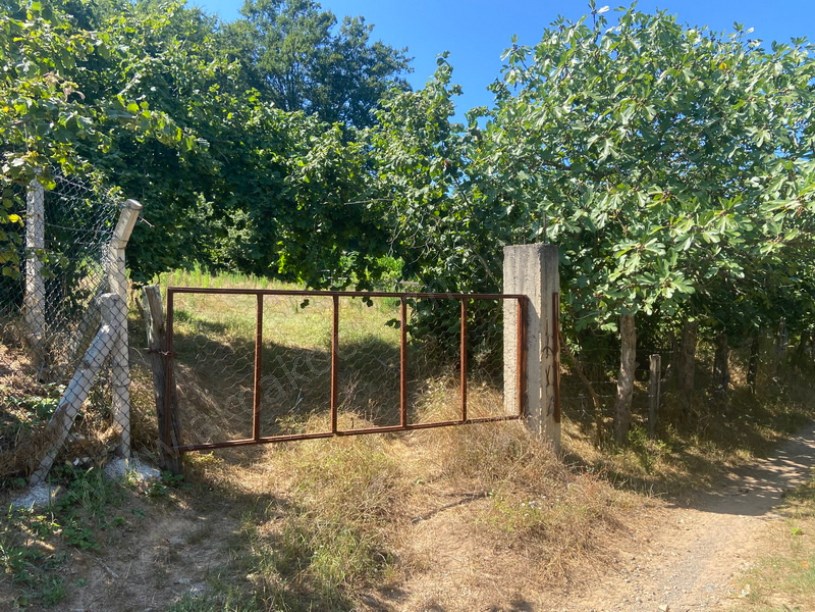 Akkaya Köyü İçi İmarlı Arsa