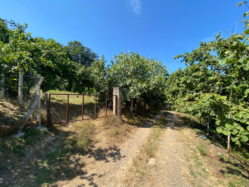 Akkaya Köyü İçi İmarlı Arsa