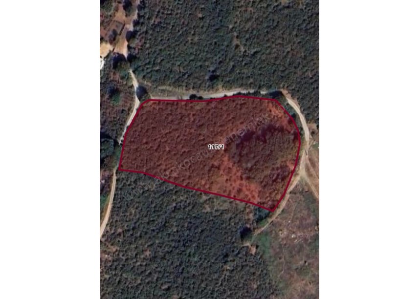 Ortanca Köyü Yakanında Satılık Fındıklık 