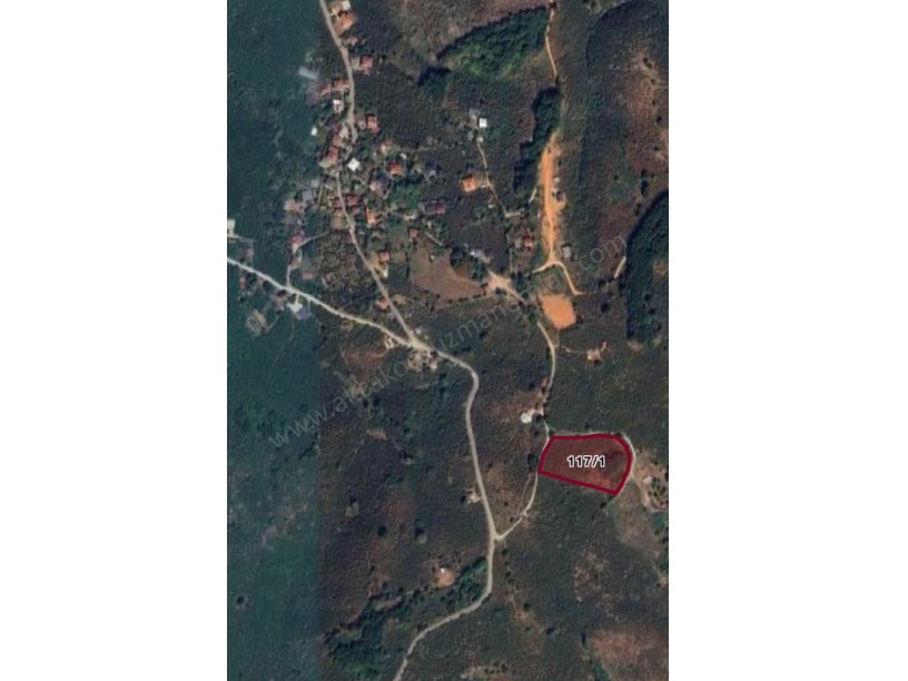 Ortanca Köyü Yakanında Satılık Fındıklık 