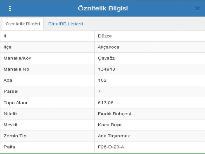 Çayağzı Köyününe Yakın Yatırımlık Arsa