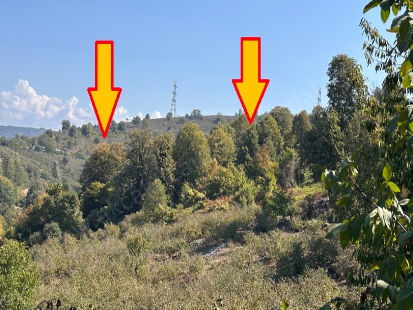Beyören Köyü Deniz Gören Arsa