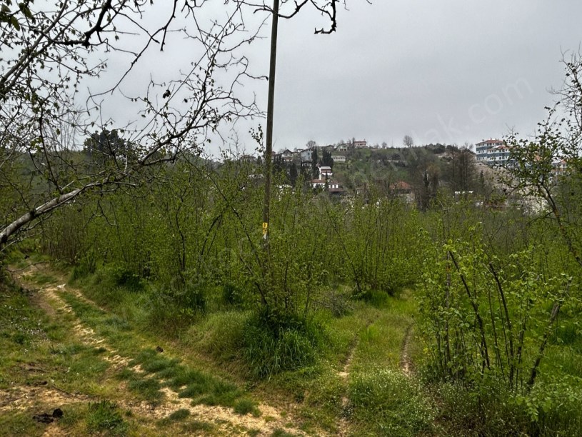 Akçakoca Doğancılar Köyü Yeni Toki Yanı Satılık Arsa