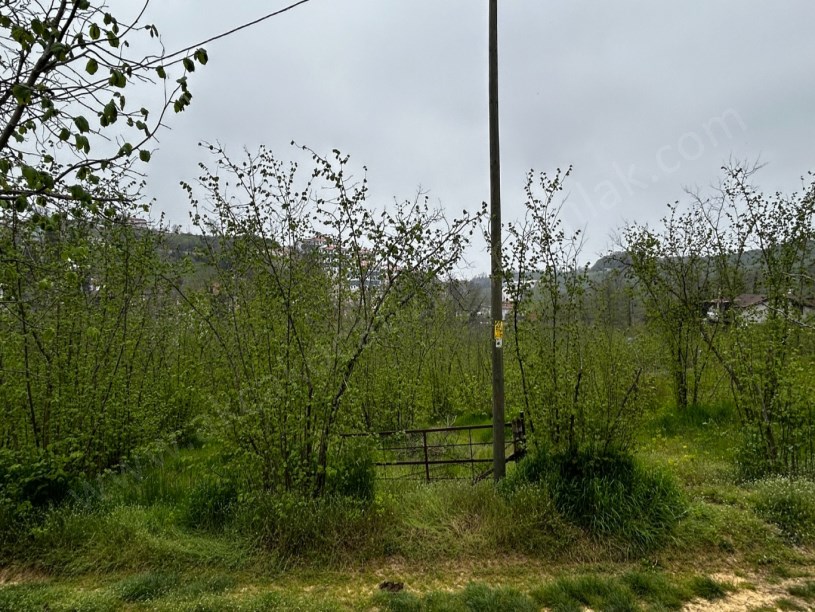 Akçakoca Doğancılar Köyü Yeni Toki Yanı Satılık Arsa