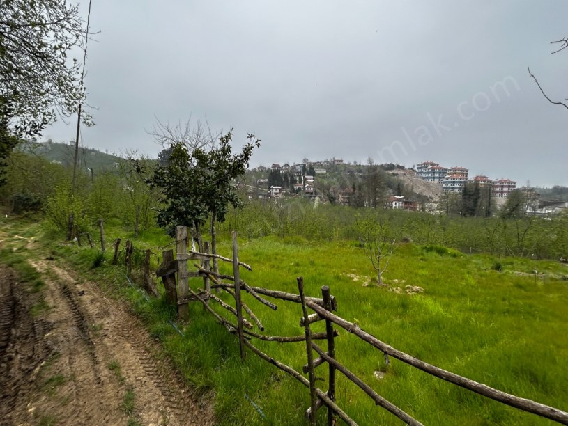 Akçakoca Doğancılar Köyü Yeni Toki Yanı Satılık Arsa