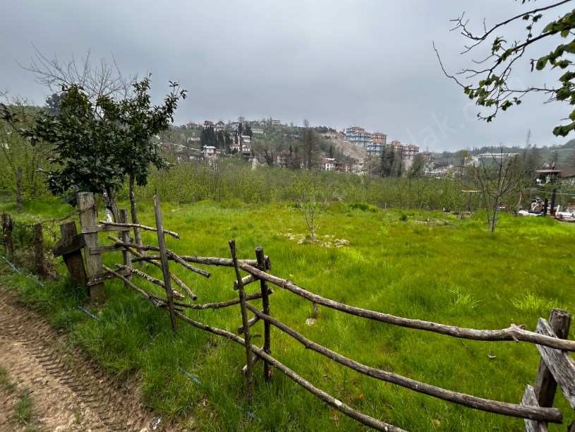 Akçakoca Doğancılar Köyü Yeni Toki Yanı Satılık Arsa