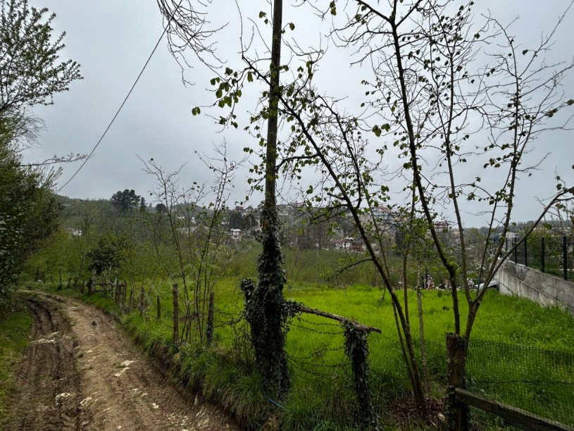 Akçakoca Doğancılar Köyü Yeni Toki Yanı Satılık Arsa