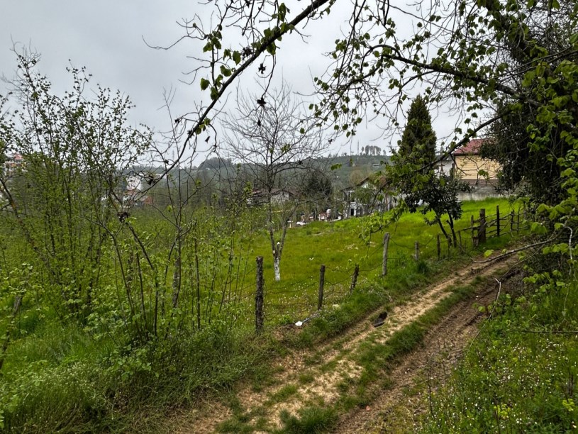 Akçakoca Doğancılar Köyü Yeni Toki Yanı Satılık Arsa