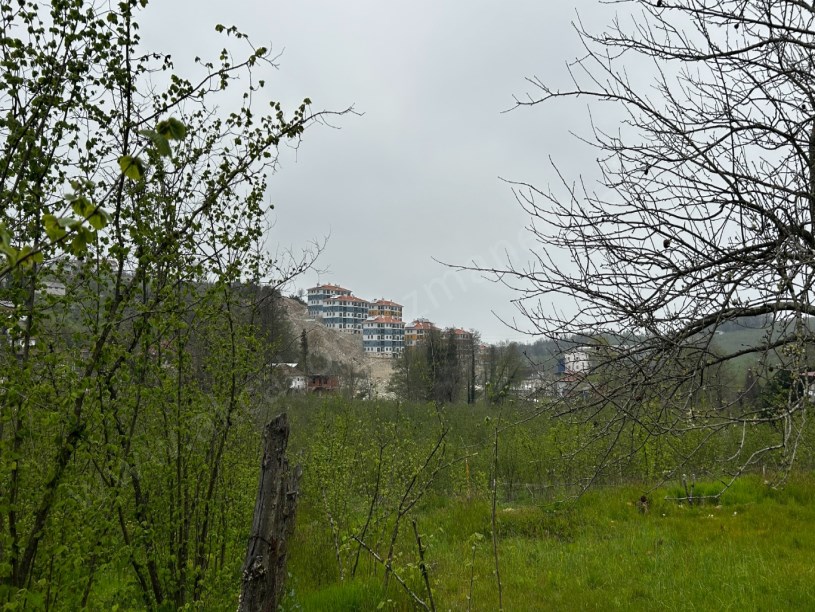 Akçakoca Doğancılar Köyü Yeni Toki Yanı Satılık Arsa
