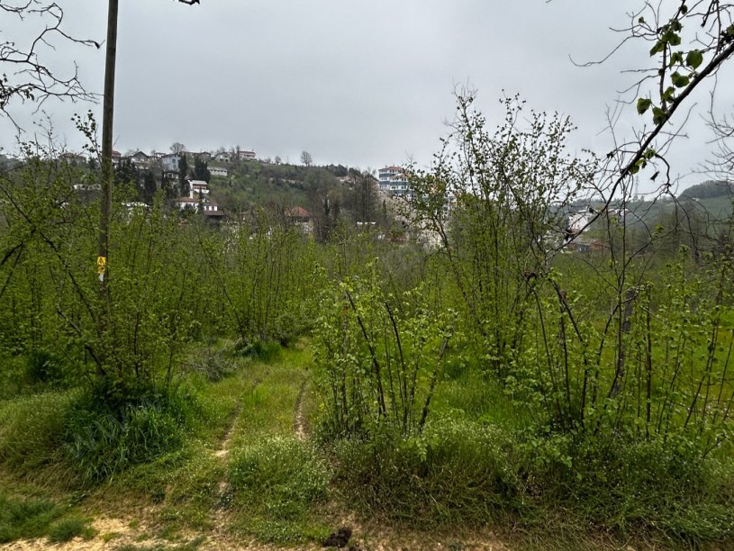 Akçakoca Doğancılar Köyü Yeni Toki Yanı Satılık Arsa