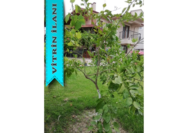 Cumhuriyet Ortaca Satılık Villa |  4+1 Oda | 250M2 20.500.000Tl  Krediye Uygun  | Villa Ve Müstakil | Kat Kaloriferi | 3 Banyo | 4 Yatak Odası Resim-3
