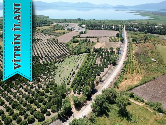 Toparlar Köyceğiz Satılık Arazi |  2650M2 7.000.000Tl Resim-1