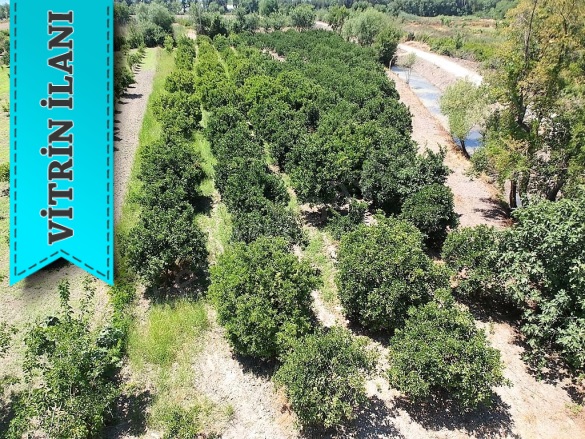 Toparlar Köyceğiz Satılık Arazi |  2650M2 7.000.000Tl Resim-5