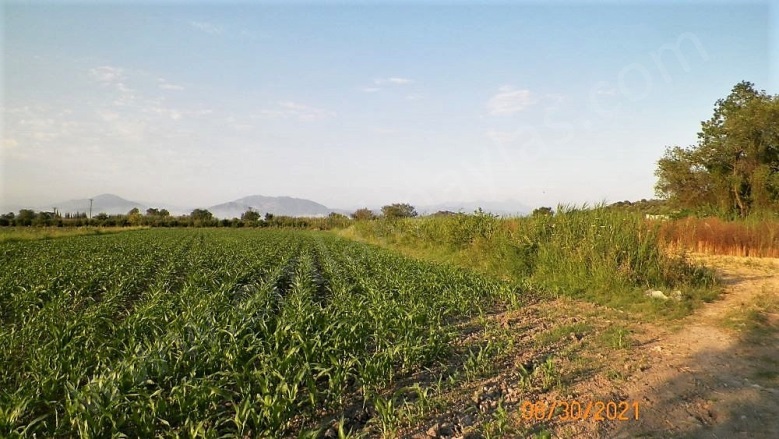 Mergenli Ortaca Satılık Arazi |  10000M2 14.000.000Tl Resim-2