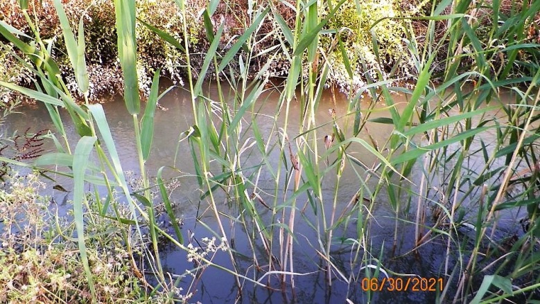 Mergenli Ortaca Satılık Arazi |  10000M2 14.000.000Tl Resim-3