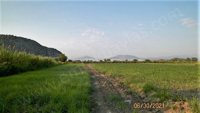 Mergenli Ortaca Satılık Arazi |  10000M2 14.000.000Tl Resim-4