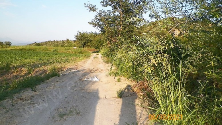 Mergenli Ortaca Satılık Arazi |  10000M2 14.000.000Tl Resim-5