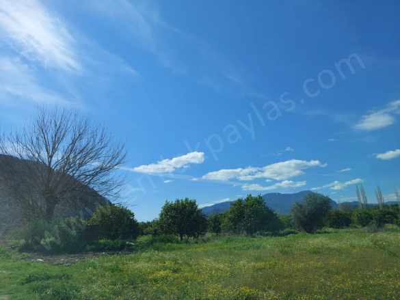 Ortaca Okçular Marmarlı Da Yatırıma Uygun 2 300 M2 Satılık Arsa