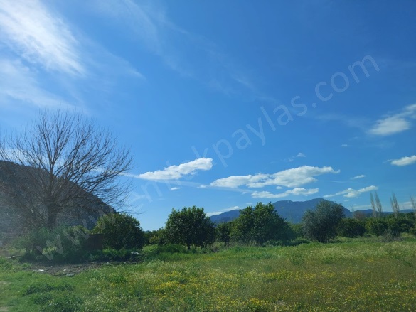 Okçular Ortaca Satılık Arsa |  2300M2 8.000.000Tl İmarlı  Resim-2