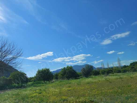 Ortaca Okçular Marmarlı Da Yatırıma Uygun 2 300 M2 Satılık Arsa