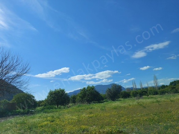 Okçular Ortaca Satılık Arsa |  2300M2 8.000.000Tl İmarlı  Resim-3