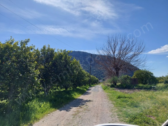 Okçular Ortaca Satılık Arsa |  2300M2 8.000.000Tl İmarlı  Resim-4