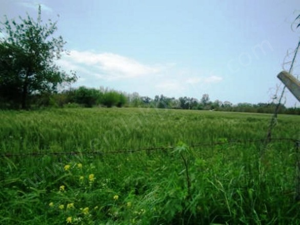 Fevziye Ortaca Satılık Arazi |  20000M2 15.000.000Tl Resim-1