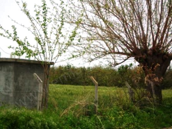 Fevziye Ortaca Satılık Arazi |  20000M2 15.000.000Tl Resim-4