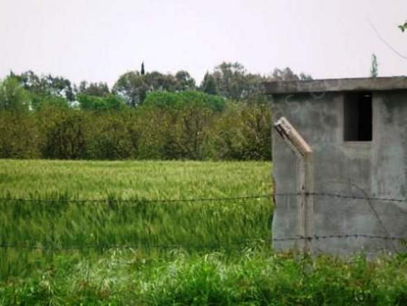 Fevziye Ortaca Satılık Arazi |  20000M2 15.000.000Tl Resim-5