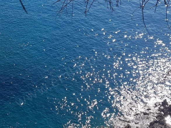 Gökbel Ortaca Satılık Tarla |  1300M2 10.000.000Tl Resim-1